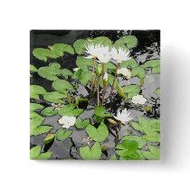 White waterlilies reflection button
