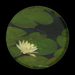 White Waterlily Magnet