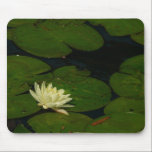 White Waterlily Mousepad
