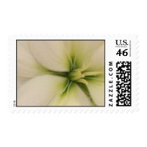 White wedding flower custom postage postage