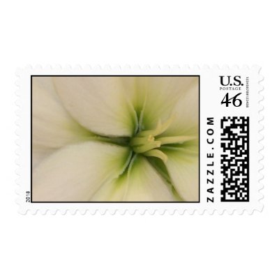 White wedding flower custom postage