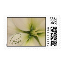 White wedding flower postage postage