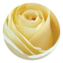 White wedding rose stickers