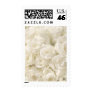 White Wedding Roses