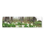 white White trillium, Quebec flowers Bumper Sticker