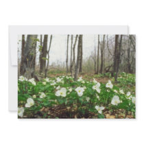 white White trillium, Quebec flowers Personalized Announcement