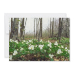 white White trillium, Quebec flowers Personalized Announcement