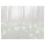 white White trillium, Quebec flowers Personalized Letterhead