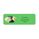 white wild daisy flowers return address labels