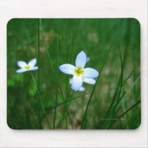 White Wild Flowers Mouse Pad mousepads by Wolfy491 White Wild Flowers Mouse Pad mousepads
