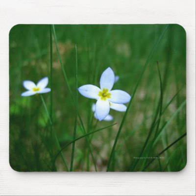 White Wild Flowers Mouse Pad by Wolfy491