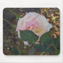 white wild rose mousepads
