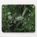 White Wildflowers mousepads
