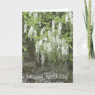 White wisteria birthday card zazzle_card