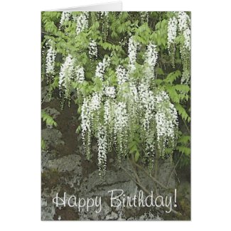 White wisteria birthday card