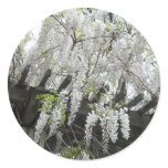 White Wisteria Sticker