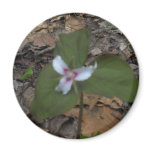 White with Red Trillium Refrigerator Magnets