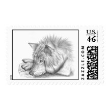 White Wolf Envio