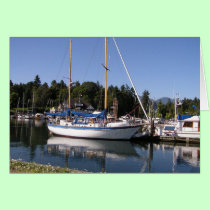 White Yacht cards