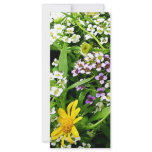 White, Yellow and Lavender Wild Flowers Full Color Rack Card