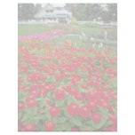 White Zinnia Garden, Quebec, Canada flowers Letterhead Design