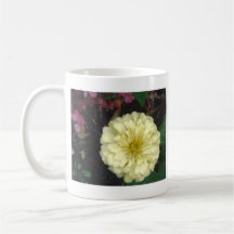 White Zinnia Mugs