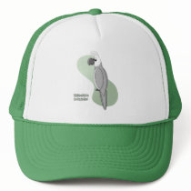 Whiteface Cockatiel Hat