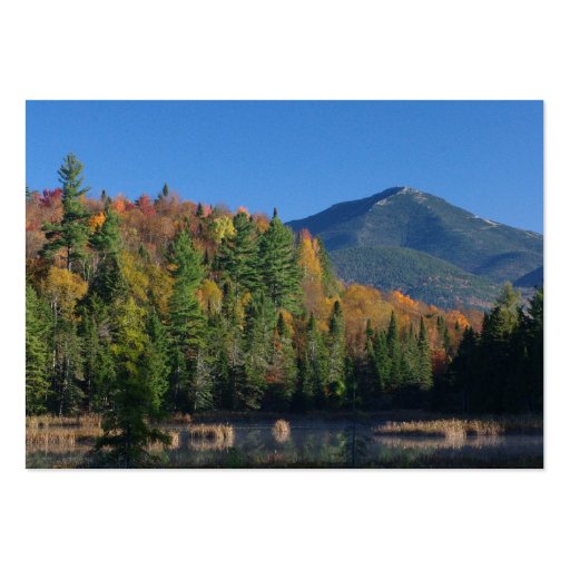 Whiteface Mountain over Little Cherrypatch Pond Business Cards (back side)