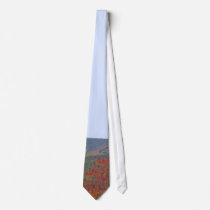 Whiteface Mountain Tie
