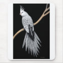 Whitefaced Pearl Cockatiel Mousepad