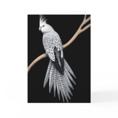 Whitefaced Pearl Pied Cockatiel Card by twopurringcats