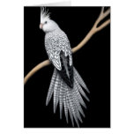 Whitefaced Pearl Pied Cockatiel Card