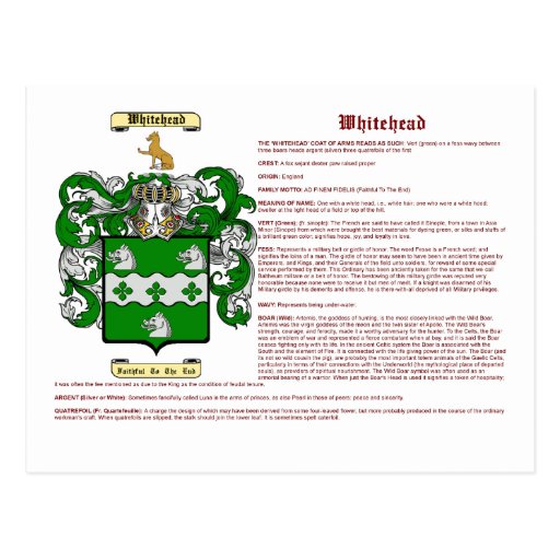 Whitehead (meaning) postcard Zazzle