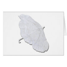 WhiteLaceUmbrella020511 Card