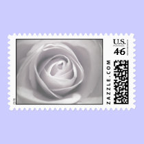 Whiteness Postage postage
