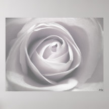 Whiteness, S Cyr Posters