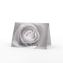 Whiteness, Save the Date Card