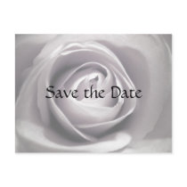 Whiteness, Save the Date Postcard