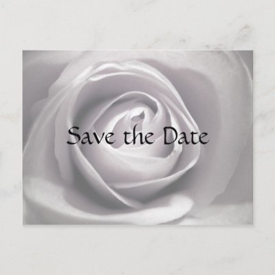 Whiteness, Save the Date Postcard