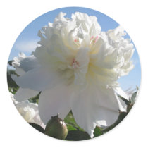whitepeony2 stickers