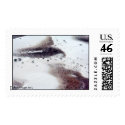 WhiteSandsFlyOver-4 postage