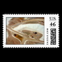 WhiteSandsFlyOver-5 stamps