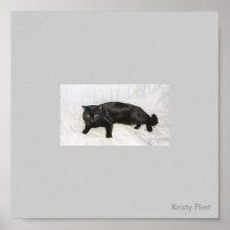 whiteShadow posters