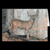 Whitetail Buck Blank Card