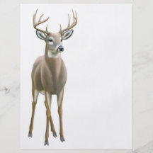 Whitetail Buck Flyer