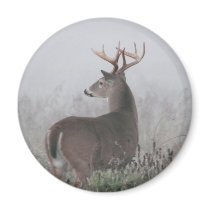Whitetail Buck in fog magnets by ccnewby Whitetail Buck in fog magnets