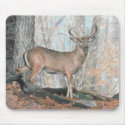 Whitetail Buck Mousepad