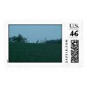 Whitetail Buck postage