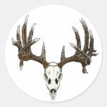 Whitetail buck skull round stickers