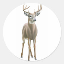 Whitetail Buck Sticker